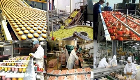 Tunisie  Les secteurs agricole et agroindustriel font preuve de